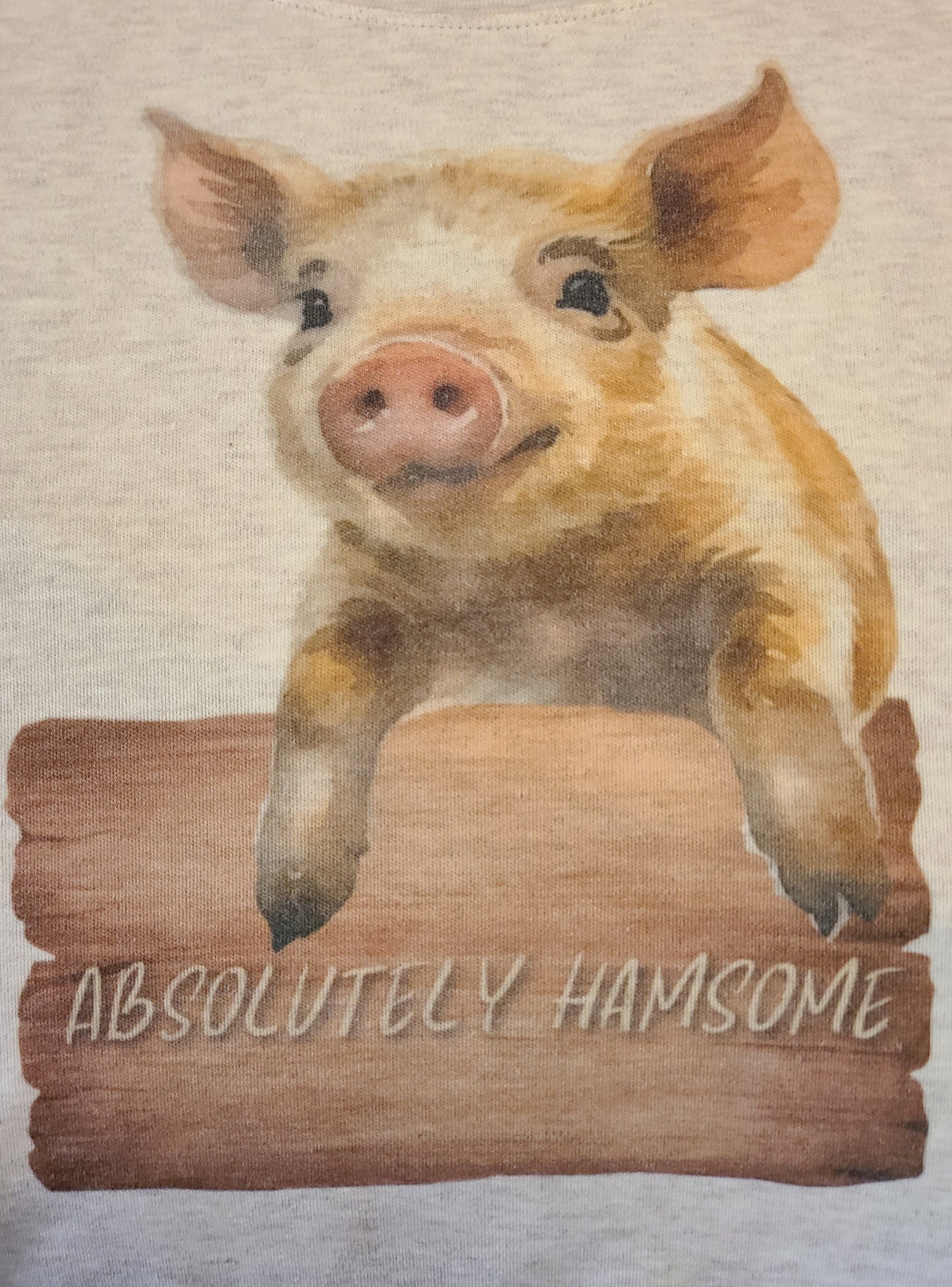 Absolutely Hamsome